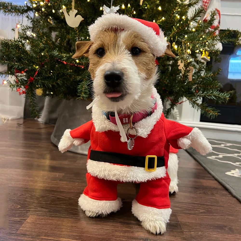 Dog Costume, Cat Costume, Christmas Costume, Pet Costume.